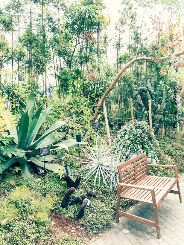 世界中から集めた植物が生い茂る「code kurkku cafe」