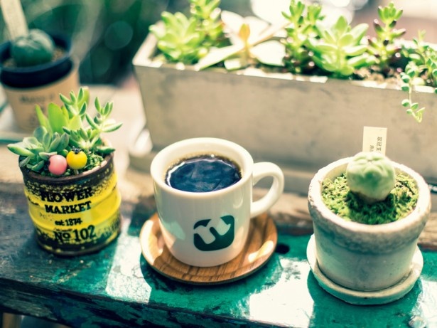築70年の民家を改装したコーヒーショップ「HanaCAFE nappa69」