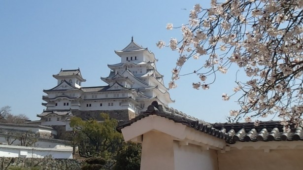 西の丸庭園から眺める天守。庭園には桜もちらほら