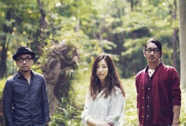 「JiLL-Decoy association」