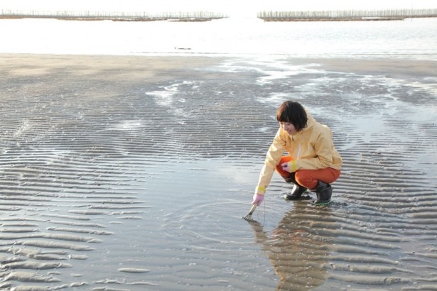 潮が引いたあとに、部分的に海水がたまっている場所が潮だまり。潮の流れと共に、貝が集まる可能性大