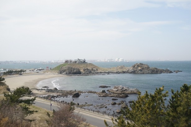 列車が減速したので窓の外を見ると蕪島が見えた。ウミネコの繁殖地としても有名
