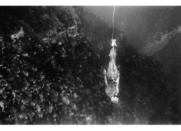 フォスコ・マライーニ［ 海女の島］より、日本、1954