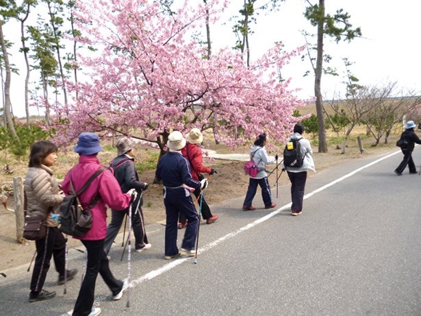 4月25日(土)と5月23日(土)には、公認指導員と専用ポールを使って街中をウォーキングする「ノルディックウォークとソフトヨガ＆ランチ」(3780円)を実施 ※各日とも9時～