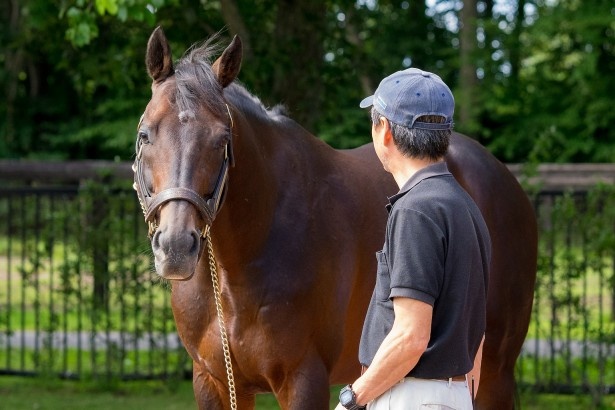 ディープインパクト。日本競馬史上6頭目のクラシック3冠馬で、史上2 頭目の無敗の3冠馬。2006年有馬記念を最後に引退