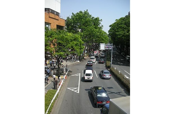 表参道は車の往来も激しい