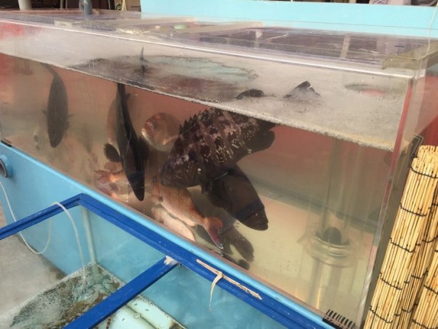 いけすの魚をおいしくいただけるのも柳橋ビアガーデンのポイント