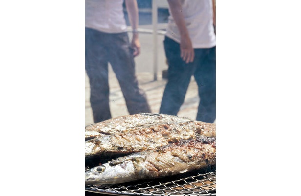 “秋の味”サンマ食べまくりの青空イベント開催