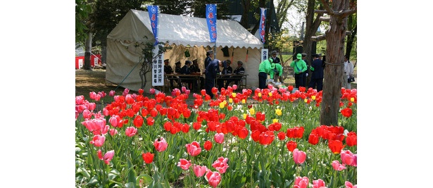 すながわ緑と花の祭典