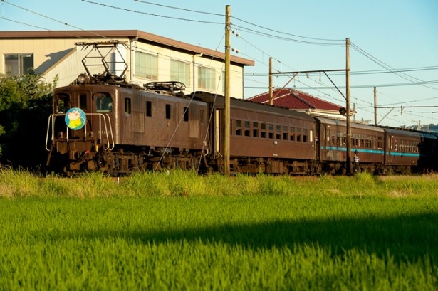 大井川鐵道で”ビール飲み放題”の列車が運行！