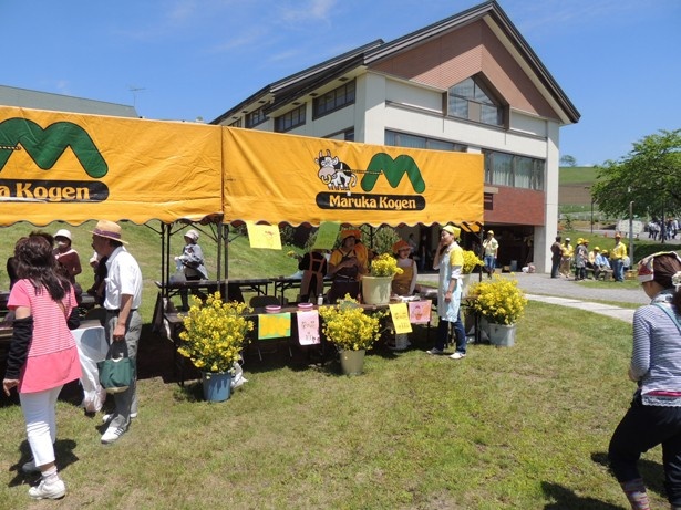 画像8 9 北海道で見つけた幸福色の光景 日本一の菜の花畑 ウォーカープラス