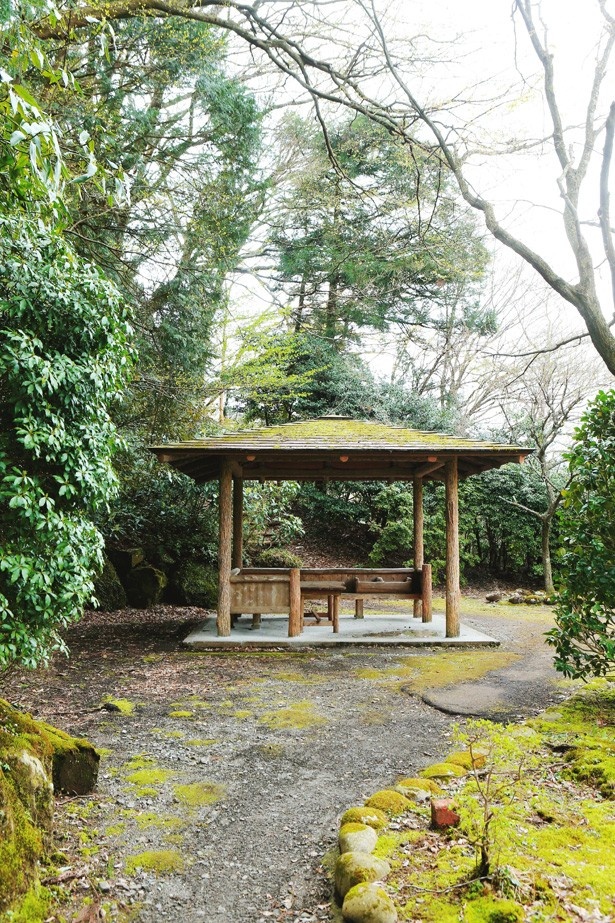 チャップリンの散歩道沿いにある浅間公園