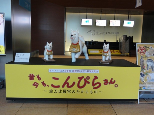 飼い主の代参をした！？”こんぴら狗”