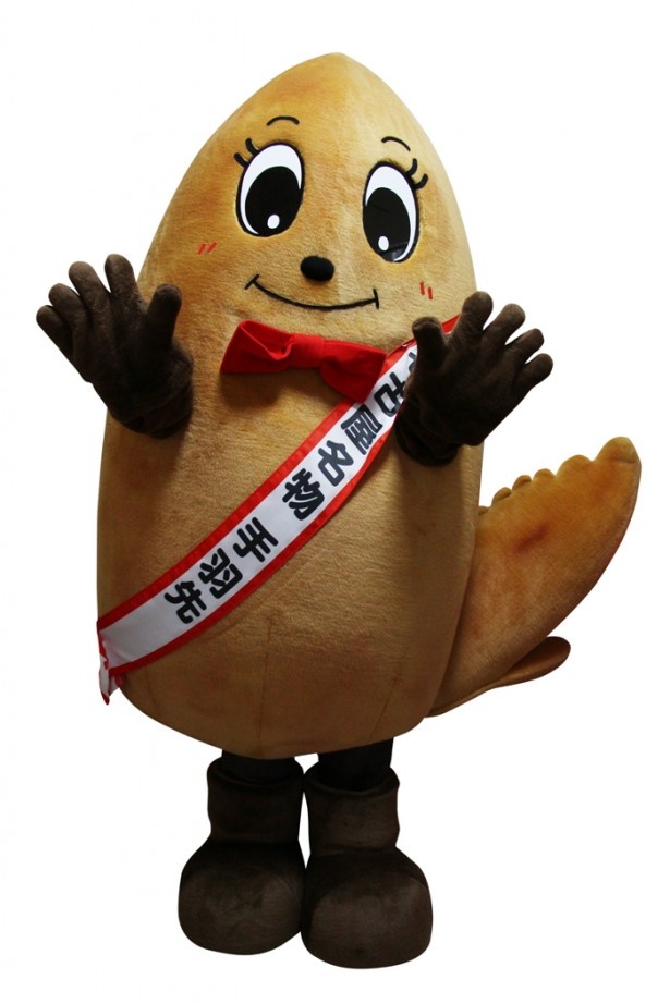 【写真を見る】現在イベントサイト内で、「手羽先サミット2015」公式キャラクターの名前を募集している(5月29日12:00まで)