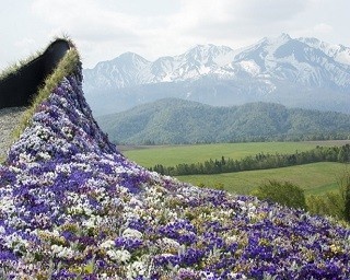 自然がデザイナー！感動の北海道ガーデンショー
