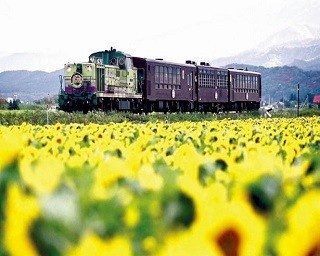 トロッコ列車が絶景・富良野ラベンダー畑を巡る！