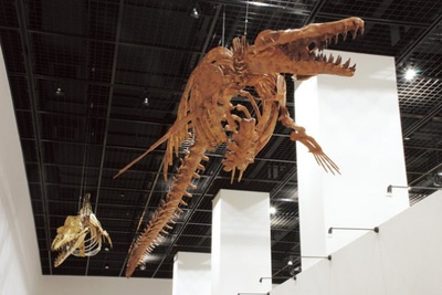 ペロロサウルス