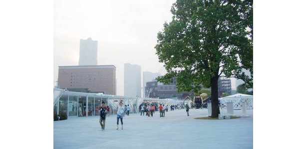 平日夕方の会場はカップルが多めでした