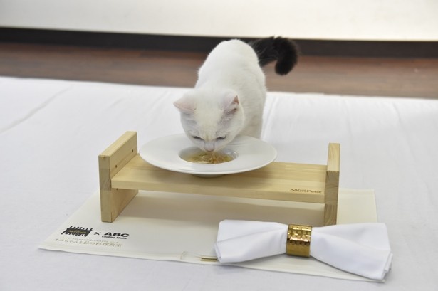 画像2 12 猫 飼い主が一緒のご飯 夏バテ対策料理教室が開講 ウォーカープラス