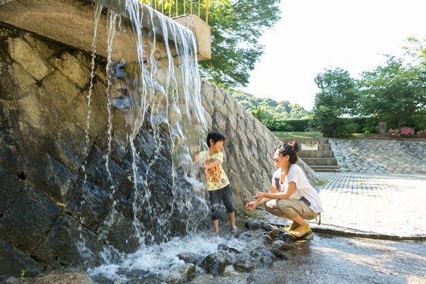 水深が浅く、無料で使える水遊び公園は、子どものパラダイス！