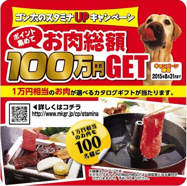 【写真を見る】この夏、愛犬と一緒にスタミナアップ！
