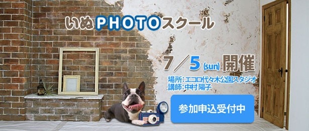 【写真を見る】プロカメラマンの指導で、愛犬の写真をもっとかわいく！