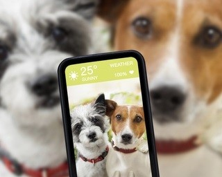愛犬をもっとかわいく撮ろう！犬専門の写真教室開催