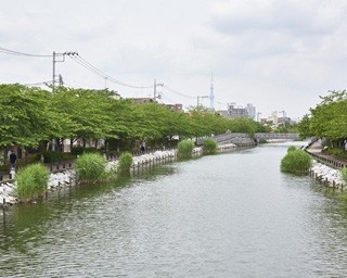 川のせせらぎと緑あふれる船堀の涼スポット巡り