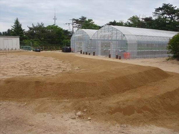 約4600平方メートルの体験型観光農園