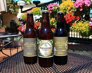 イクスピアリのクラフトビールが審査会で金賞ゲット！