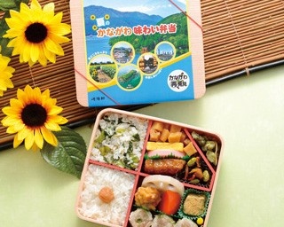 崎陽軒の人気シリーズ「かながわ味わい弁当」に夏バージョンが新登場！