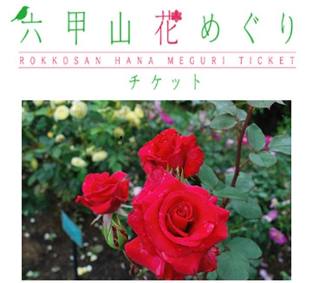 「六甲オルゴールミュージアム」「六甲高山植物園」ほか全4施設共通チケット「花めぐりチケット」。7月31日(金)まで発売中