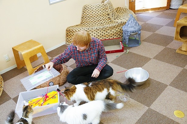 Cat Cafe ねころびは、海外の大人気ミュージシャンも訪問した有名店だ