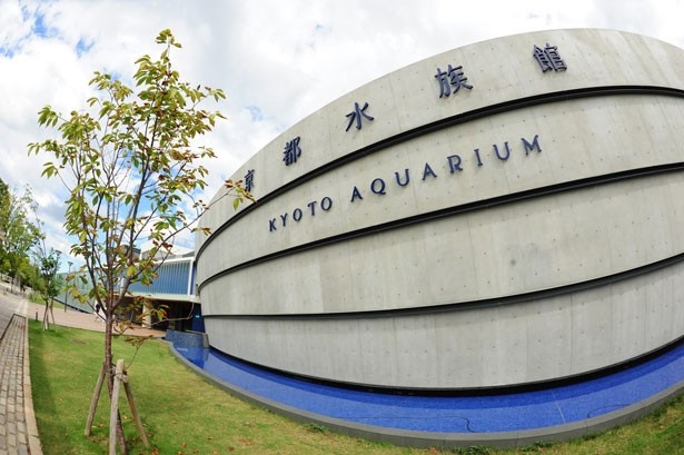 内陸型大規模水族館では日本最大級となる「京都水族館」