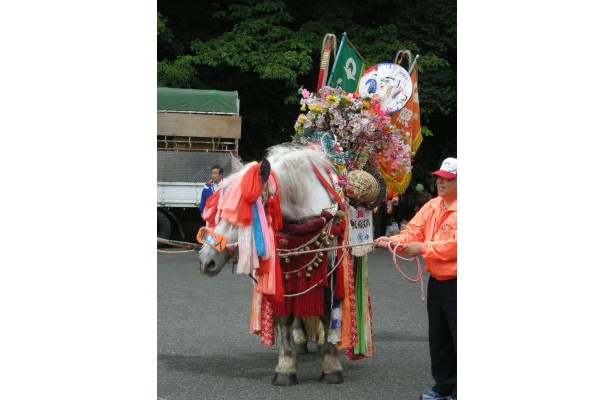 鈴かけ馬踊りでは、花や錦を飾りつけた鈴かけ馬がリズミカルに踊る