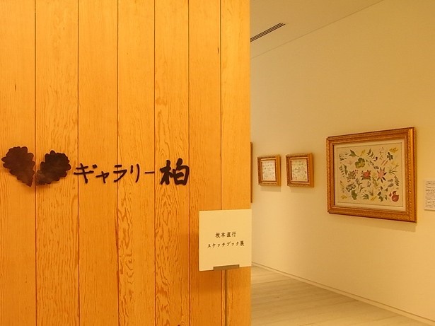5階のギャラリー柏では、六花亭の花柄包装紙を描いた画家・坂本直行氏による歴代の包装紙を常設展示