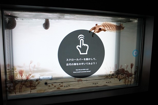 タッチパネルを操作して、数億年前の古代の海の様子が見られる！