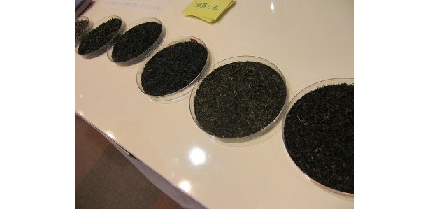 お茶当てクイズで当たると静岡茶をプレゼント！