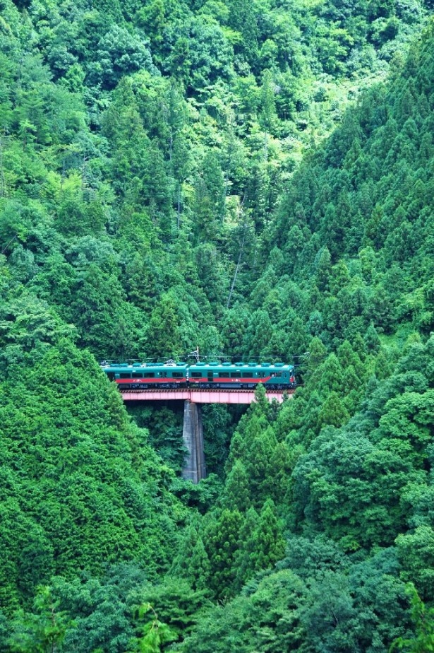 今年4月2日から50日間行われた｢高野山開創1200年記念大法会｣には約60万人が来場。記念イヤーに涼やかな夏の高野山への旅はいかが