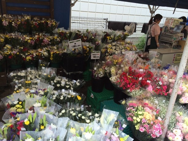 【写真を見る】店頭には安くて新鮮な花が並ぶ