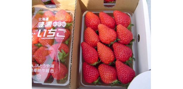 【豊浦】新鮮なイチゴ（価格未定）を買ってすぐ食べるのもよい