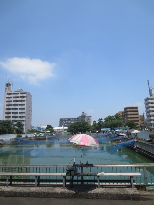 【写真を見る】入場無料で魚釣りができる、魚釣場