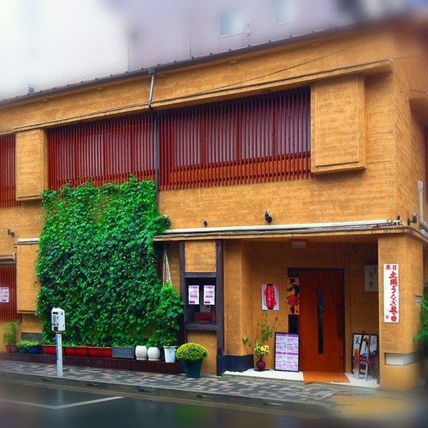 【写真を見る】普段使いでも会席でも使える品の良さはさすが。懐石 今井では、季節の旬を活かした日本料理が堪能できる