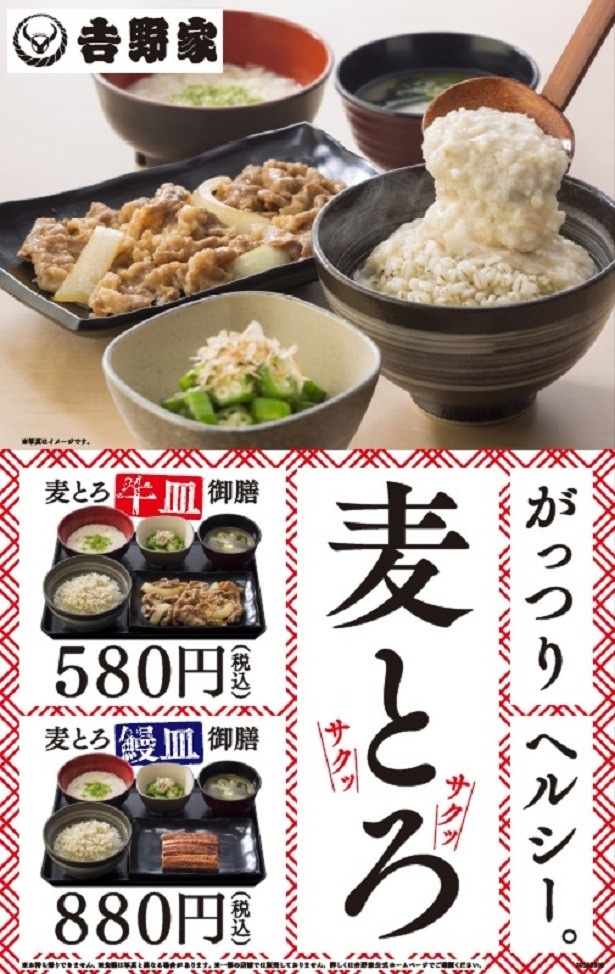 夏の定番｢鰻皿｣と組み合わせた最強メニュー｢麦とろ鰻皿御膳｣(880円)も販売(695kcal)。どちらの御膳も試してみたい