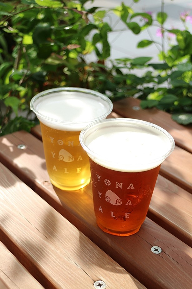限定ビール「ガーデン・セッション」(700円)をはじめ、全6種類のビールが生で味わえる