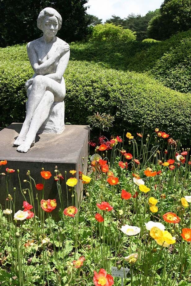 季節の花が楽しめる神代植物公園