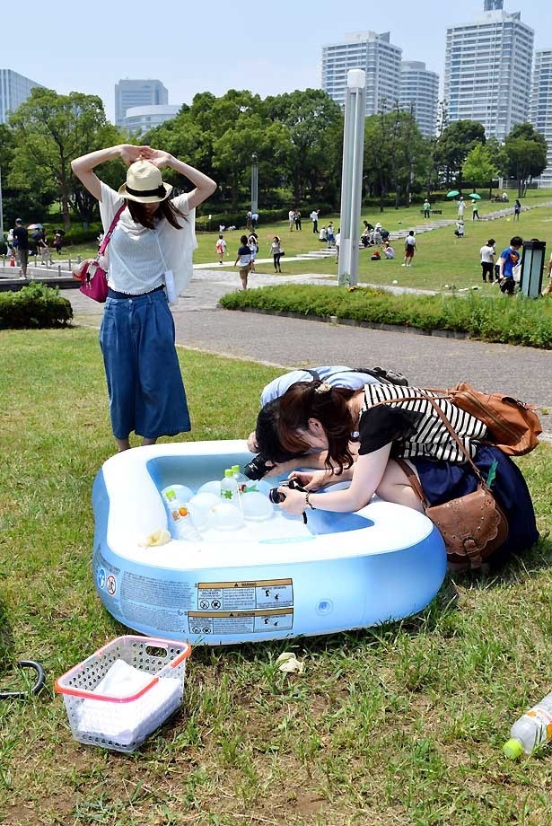 個性の光る写真が撮影され、Instagramにアップされた