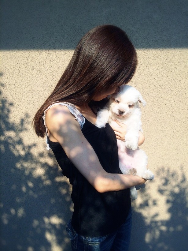 飼い犬と約束を交わしたことがありますか？