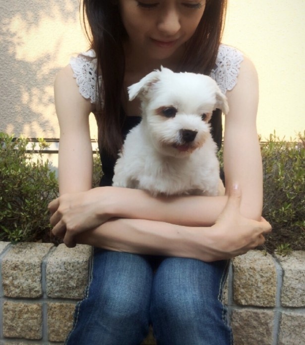 あなたの家族で、もし誰かが反対しているなら、わたしを無理に飼わないでください