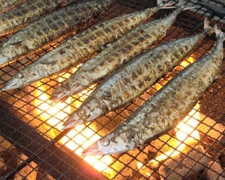 マグロ級の脂ノリ！根室産サンマを食べに札幌へ
